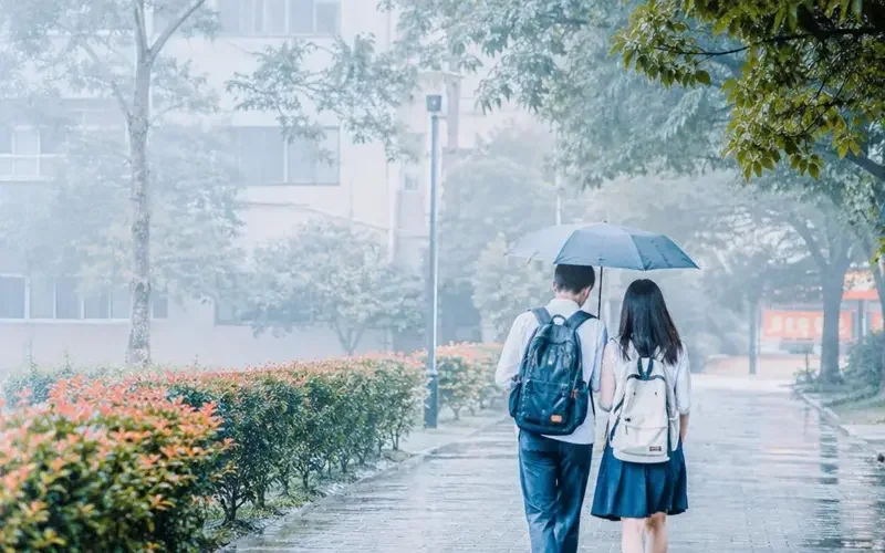 《伞下心动》凭什么成为甜宠黑马？三大原因说清 - 野果短剧入囗资讯配图