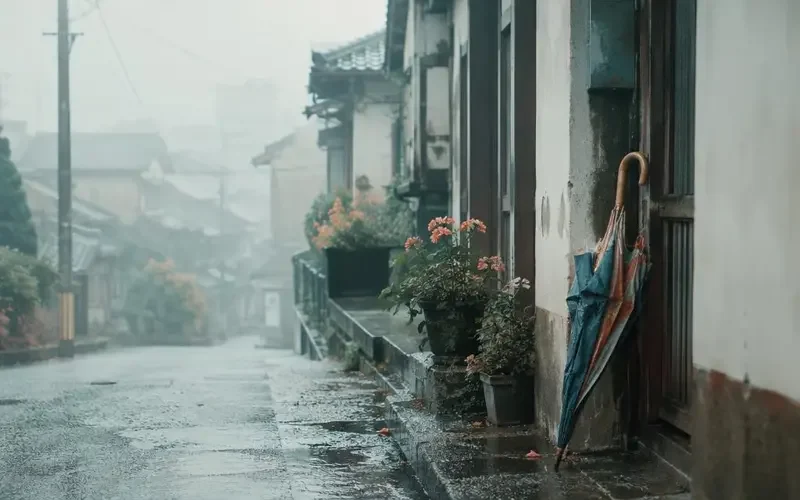 《妈妈的旧雨伞》口碑炸裂：一次迟到很多年的和解 - 野果短剧入囗资讯配图